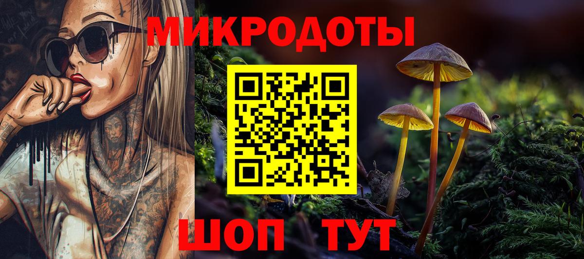 Ессентуки  Псилоцибиновые грибы Psilocybine cubensis  Вход с VPN 