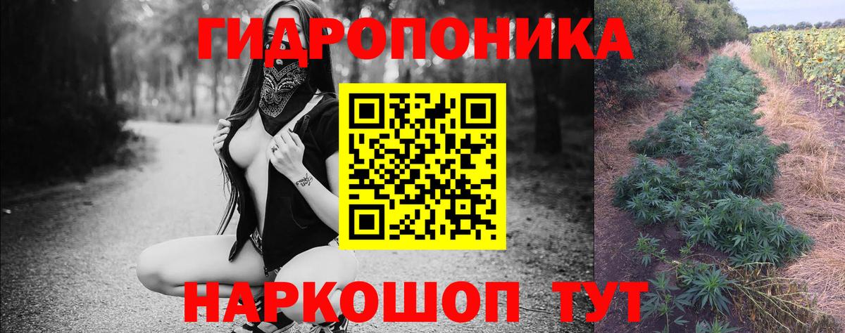 Марихуана THC 21%  Бошки Шишки семена  Вход с VPN  Марихуана VHQ  Ессентуки 